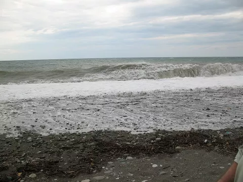 Кипариска